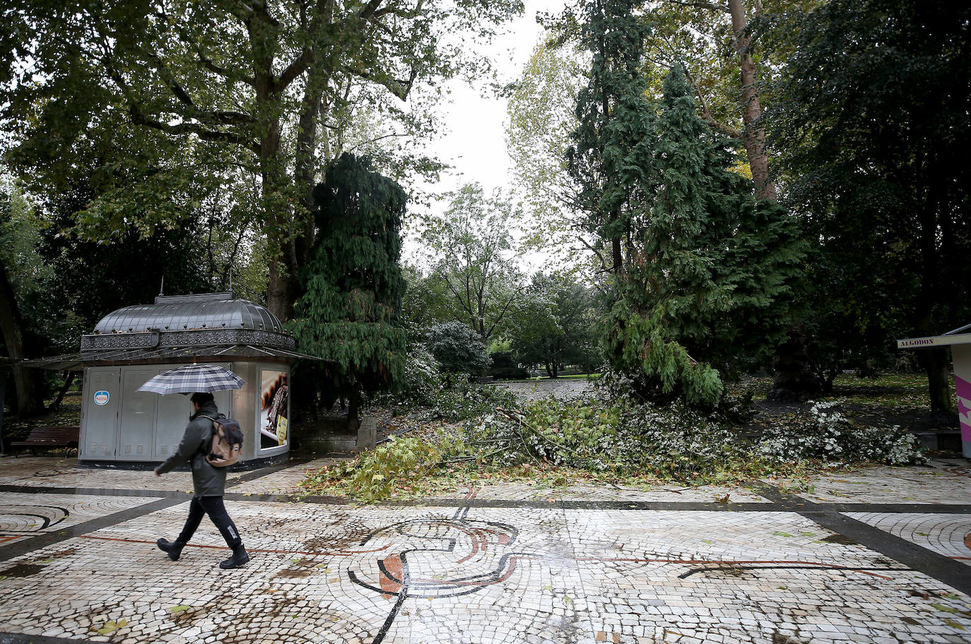 Fotos Las Fuertes Rachas De Viento Dejan Destrozos Por Toda Asturias